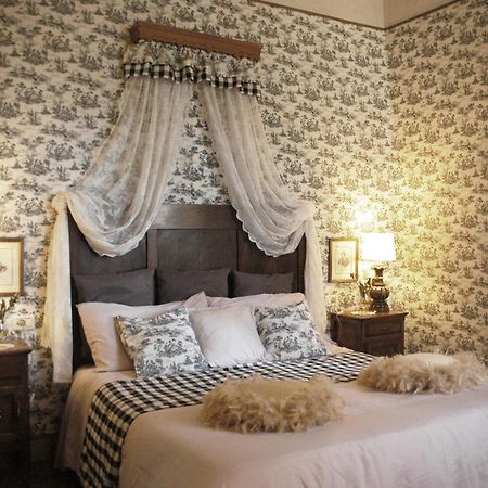 Camera E Appartamento Toscana - B&B Palazzo Robicci 卡斯蒂里昂·菲奥伦蒂 外观 照片