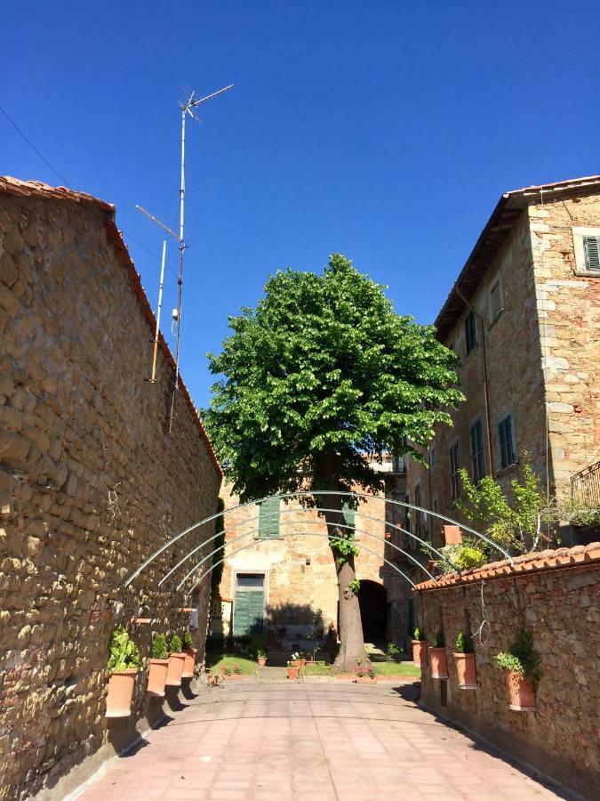 Camera E Appartamento Toscana - B&B Palazzo Robicci 卡斯蒂里昂·菲奥伦蒂 外观 照片