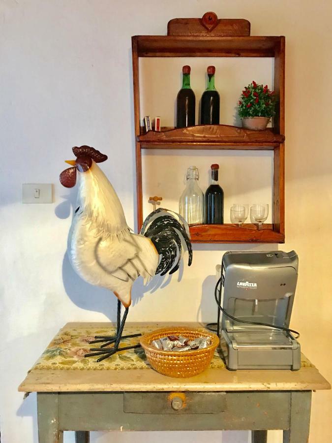 Camera E Appartamento Toscana - B&B Palazzo Robicci 卡斯蒂里昂·菲奥伦蒂 外观 照片