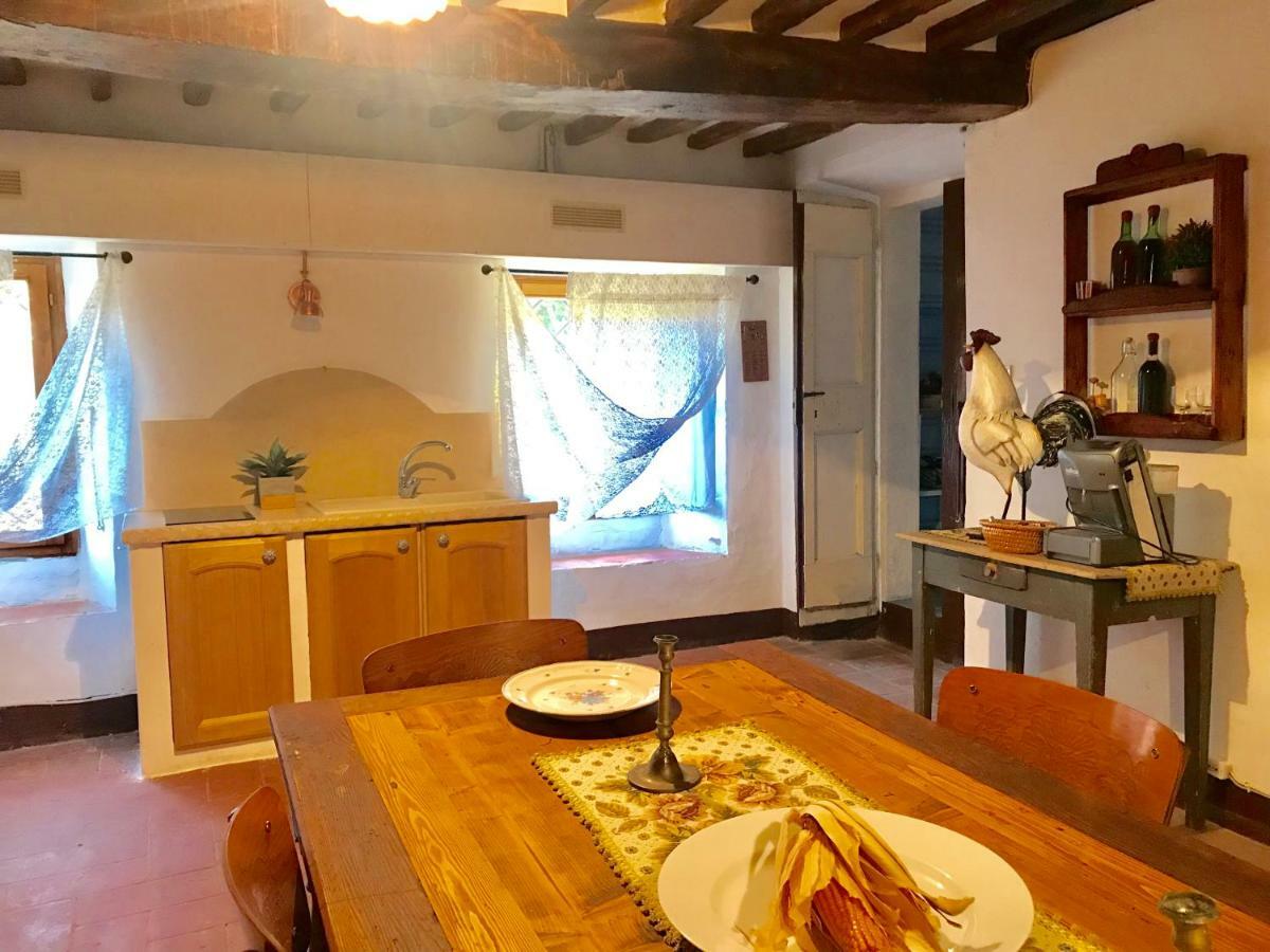 Camera E Appartamento Toscana - B&B Palazzo Robicci 卡斯蒂里昂·菲奥伦蒂 外观 照片